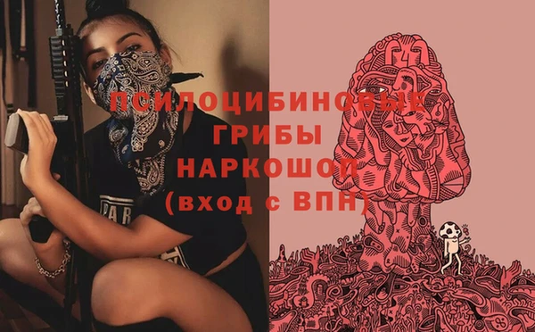 МДПВ Лихославль