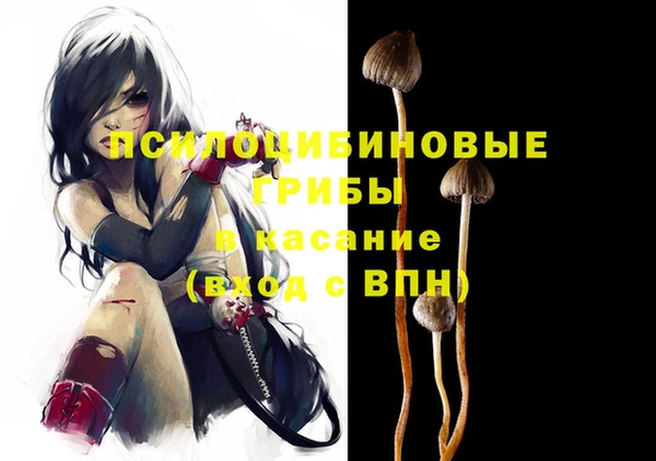 МДПВ Лихославль