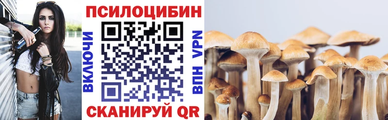 Псилоцибиновые грибы Cubensis  цена   Невельск 