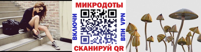 Псилоцибиновые грибы ЛСД Невельск